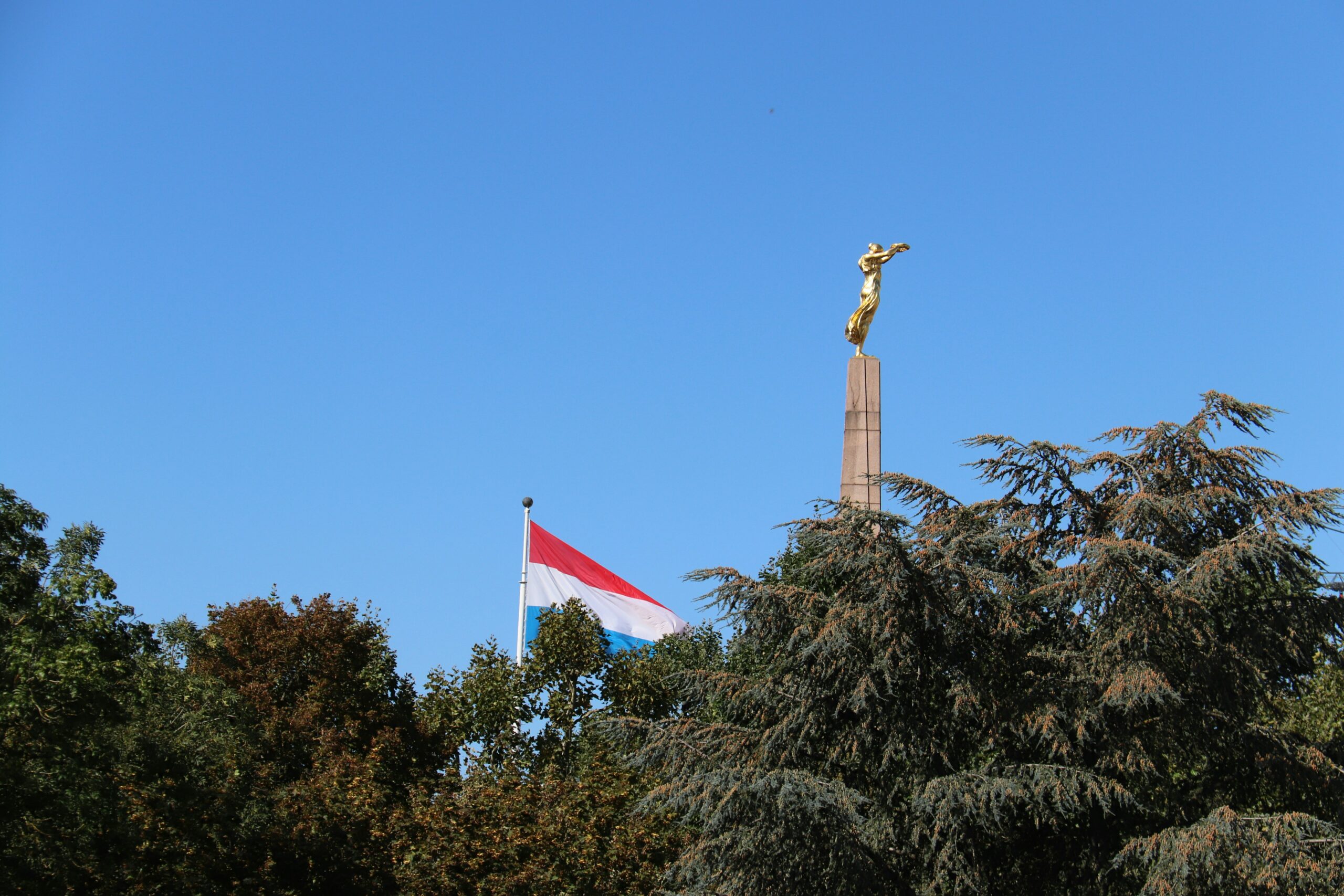 assurance vie luxembourgeoise